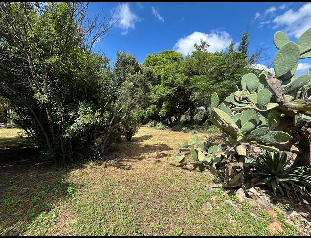 112HA FARM FOR SALE IN SCHURVEBERG AH